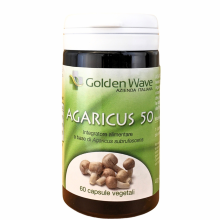 Agaricus 60